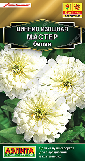 Мастер белая