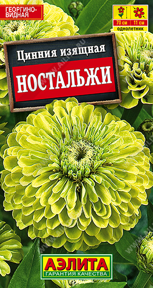 Ностальжи
