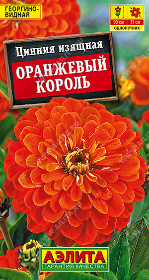 Оранжевый король