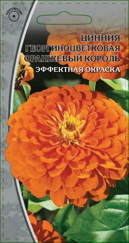 Миниатюра изображения сорта Оранжевый король