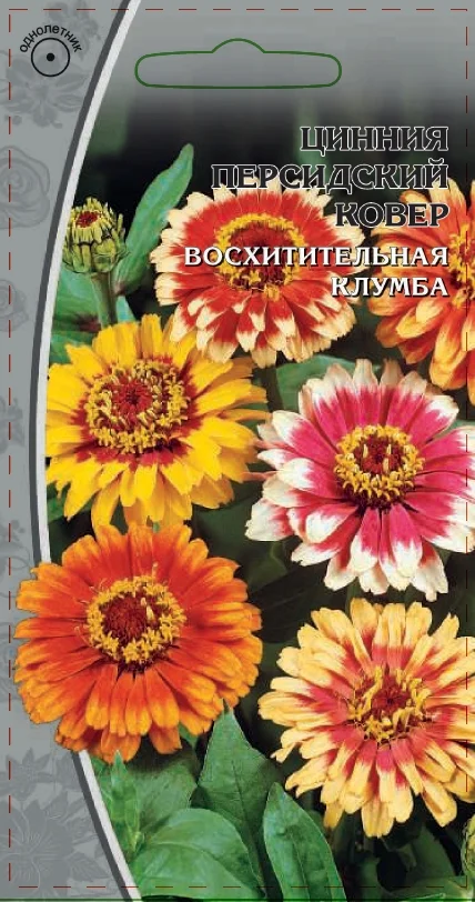 Миниатюра изображения сорта Персидский ковер