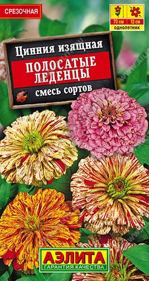 Полосатые леденцы