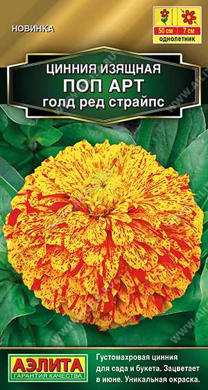 Поп арт голд ред страйпс