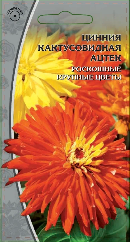 Миниатюра изображения сорта Ацтек