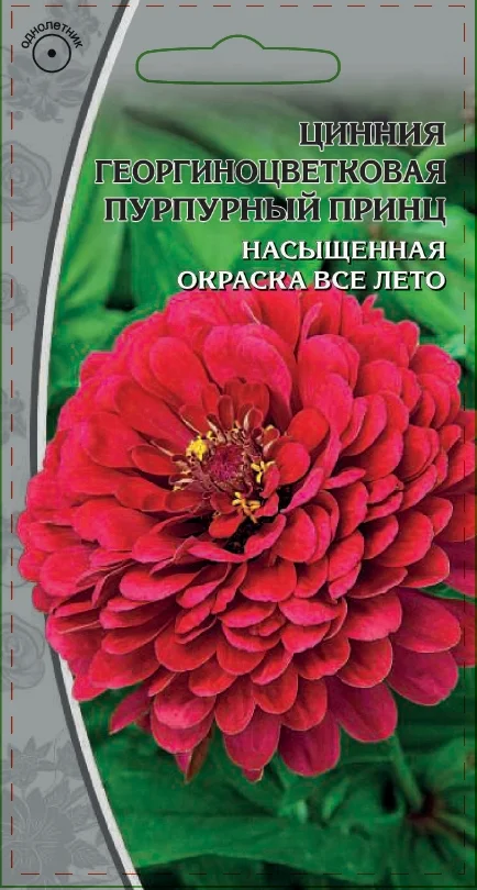 Миниатюра изображения сорта Пурпурный принц