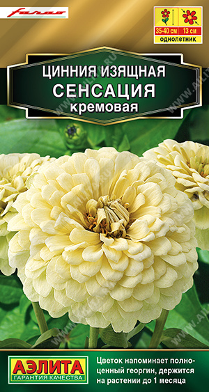 Сенсация кремовая