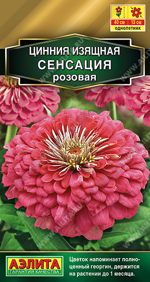 Сенсация розовая