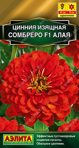 Сомбреро алая