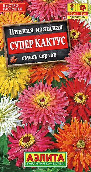 Супер кактус