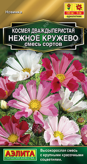 Нежное кружево