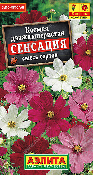 Сенсация