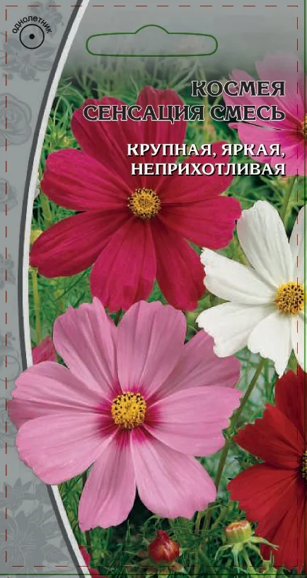 Миниатюра изображения сорта Сенсация