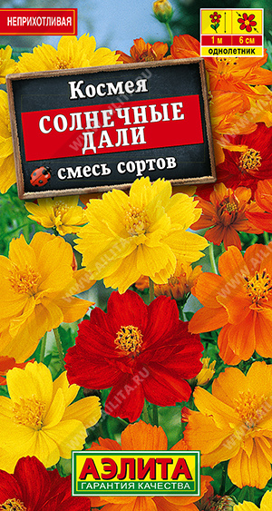 Солнечные дали