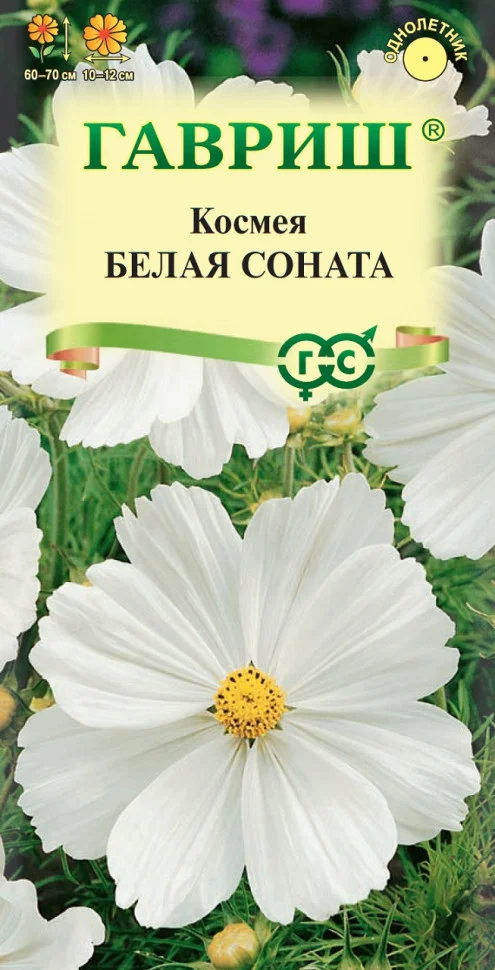 Белая соната