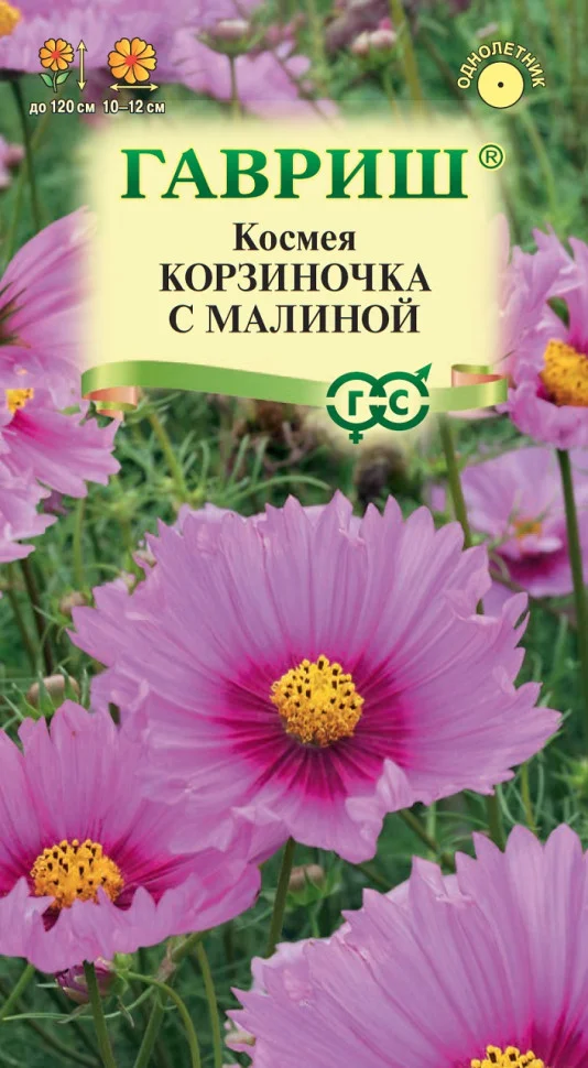 Корзиночка с малиной