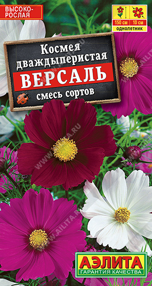 Версаль