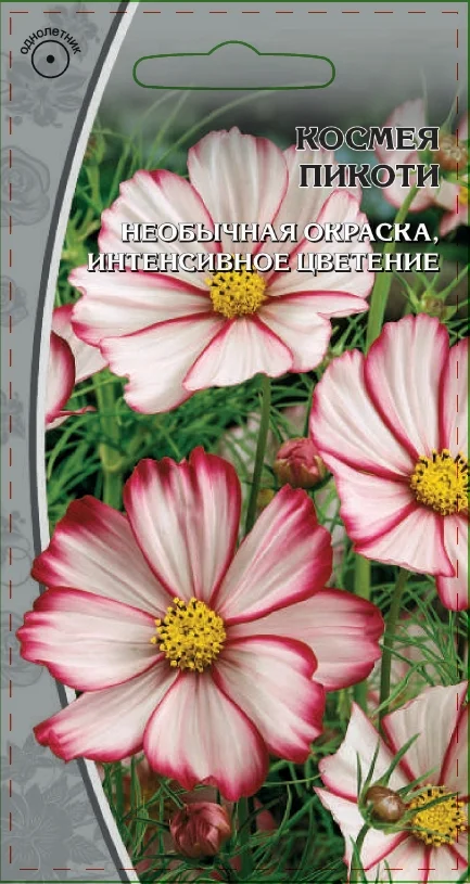 Миниатюра изображения сорта Пикоти