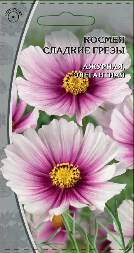 Миниатюра изображения сорта Сладкие грезы