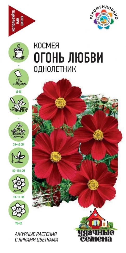 Огонь любви