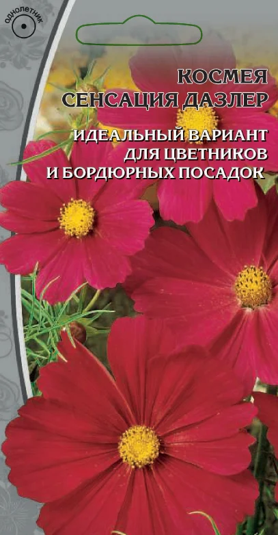 Сенсация Дазлер