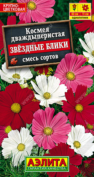 Звездные блики