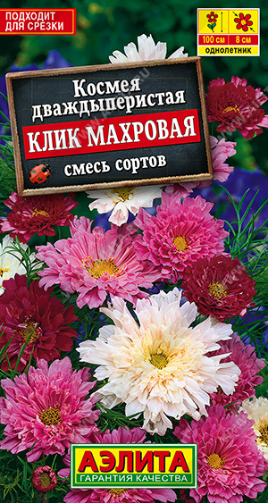 Клик махровая