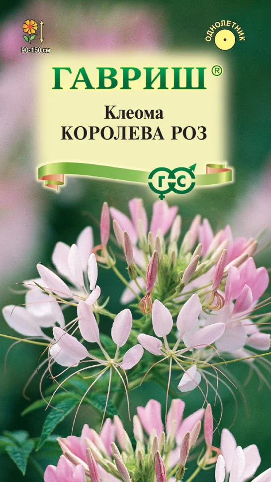 Королева роз