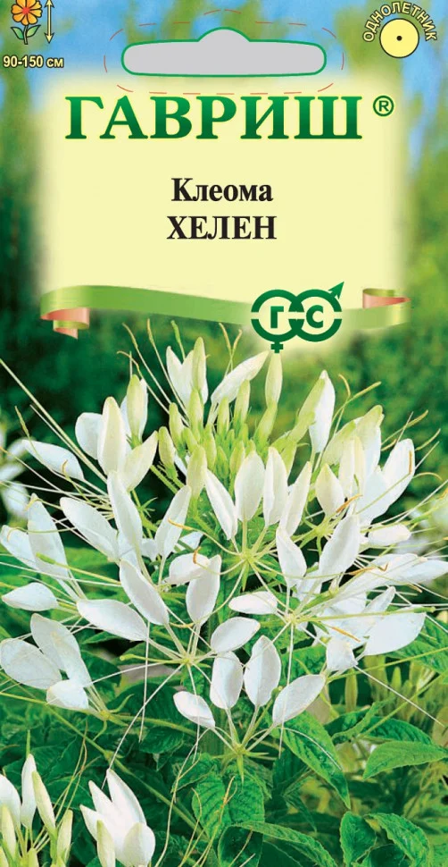 Хелен белая