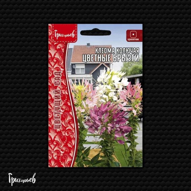 Цветные Брызги