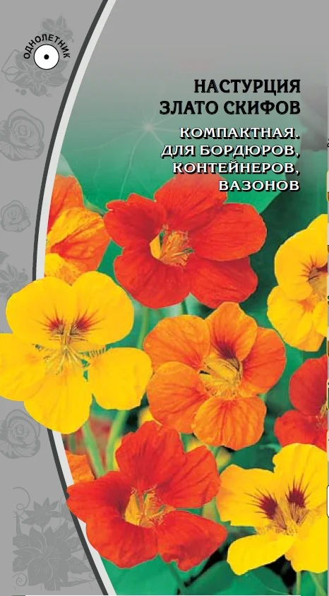 Миниатюра изображения сорта Злато Скифов