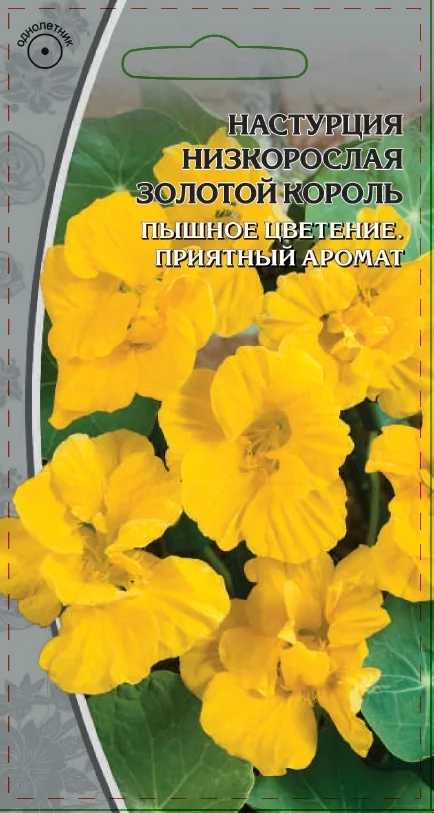 Миниатюра изображения сорта Золотой король