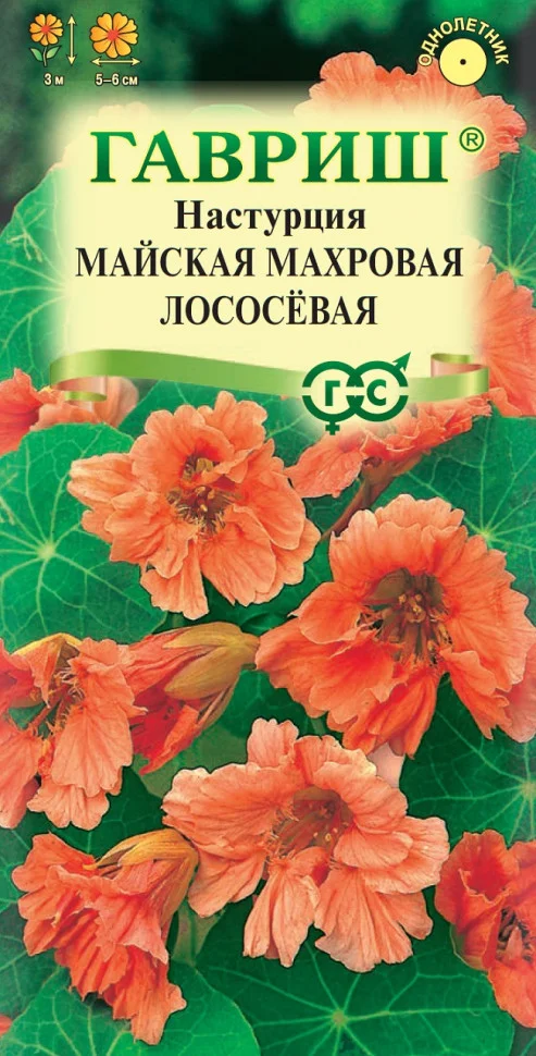 майская махровая лососевая
