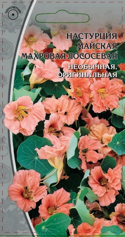 Миниатюра изображения сорта майская махровая лососевая