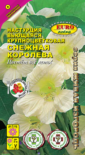 Снежная королева