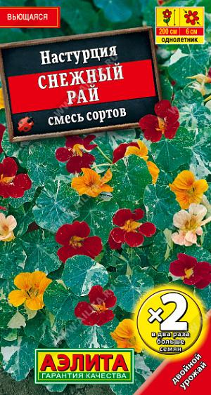 Снежный рай