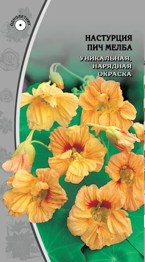 Миниатюра изображения сорта Пич Мельба