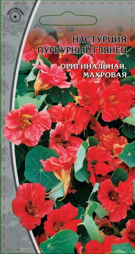 Пурпурный глянец