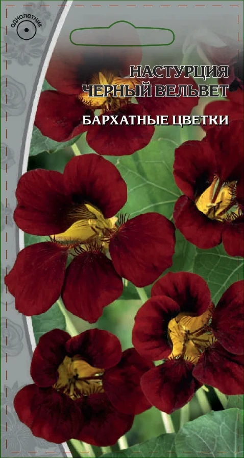 Черный вельвет