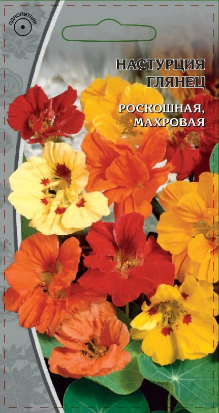 Миниатюра изображения сорта Глянец