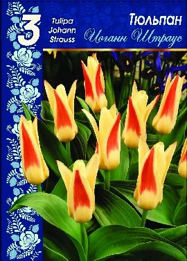 Иоганн Штраус