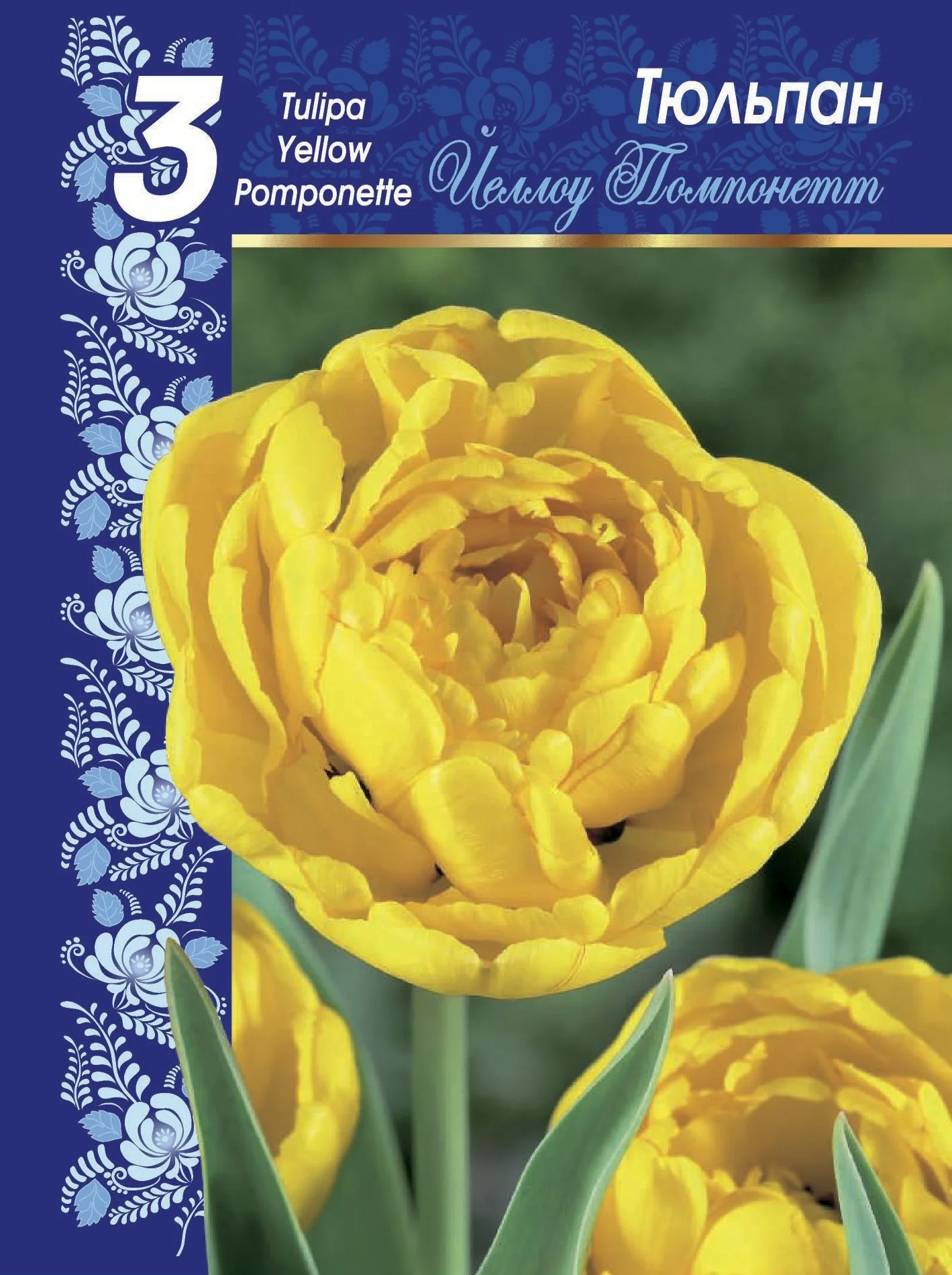 Йеллоу Помпонетт