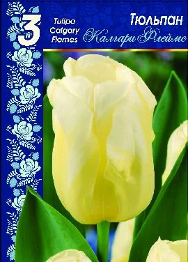 Калгари Флеймс