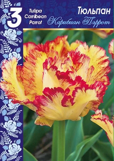 Керибиан Перрот