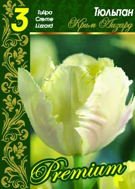 Крим Лизард