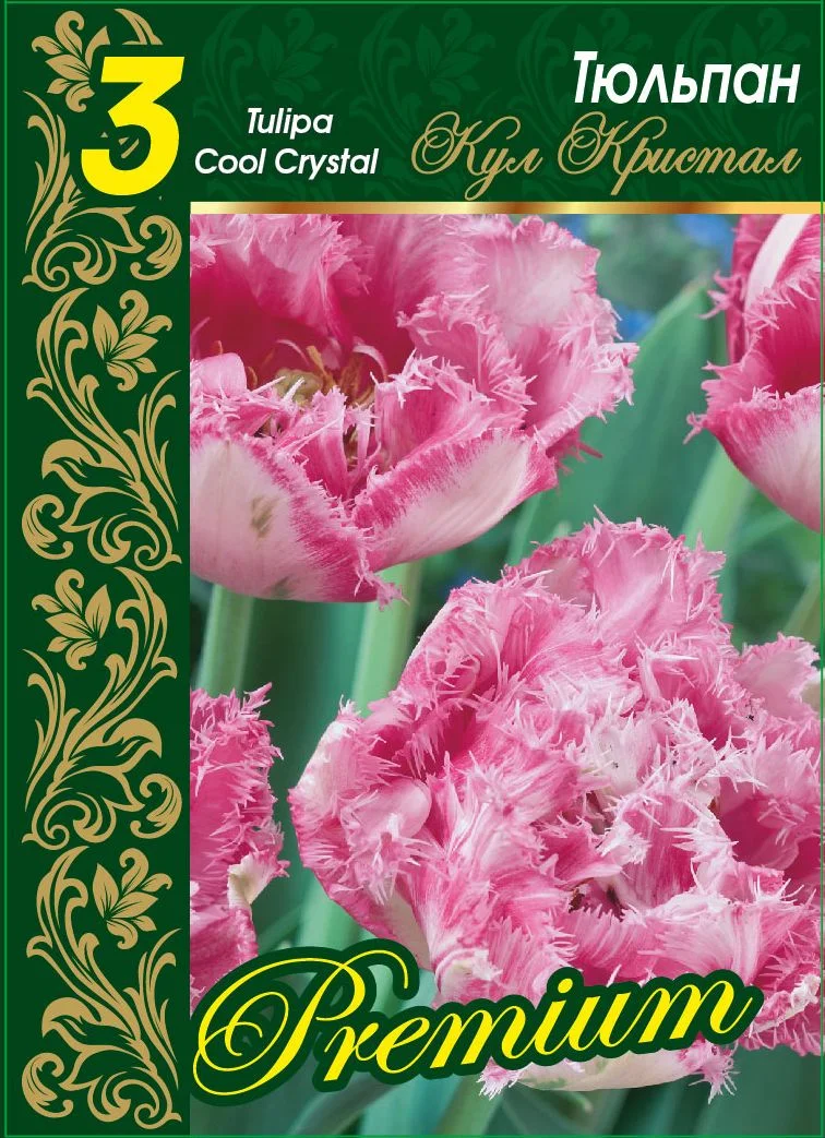 Кул Кристал