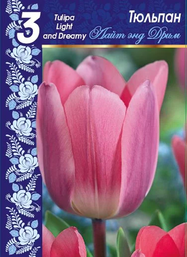 Лайт энд Дрим