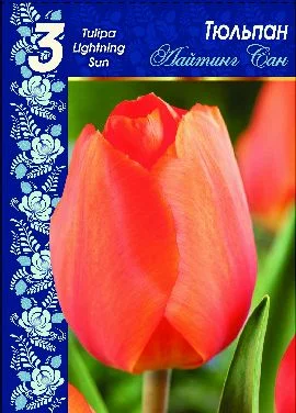 Лайтинг Сан