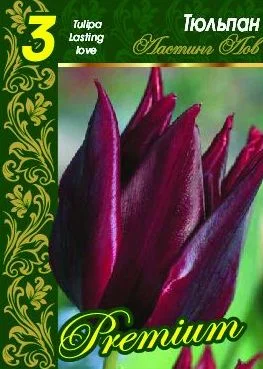 Ластинг Лов