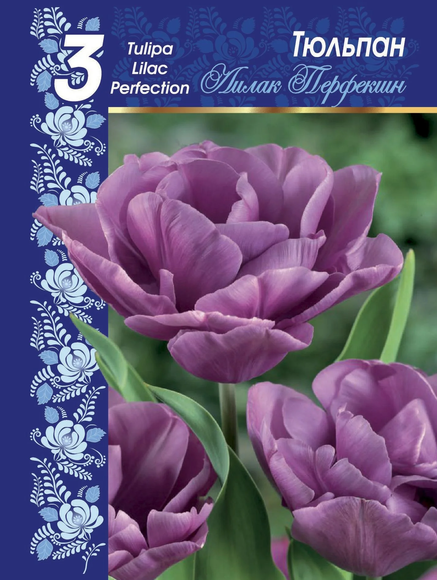 Лилак Перфекшн