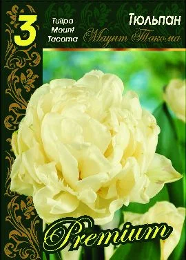 Маунт Такома